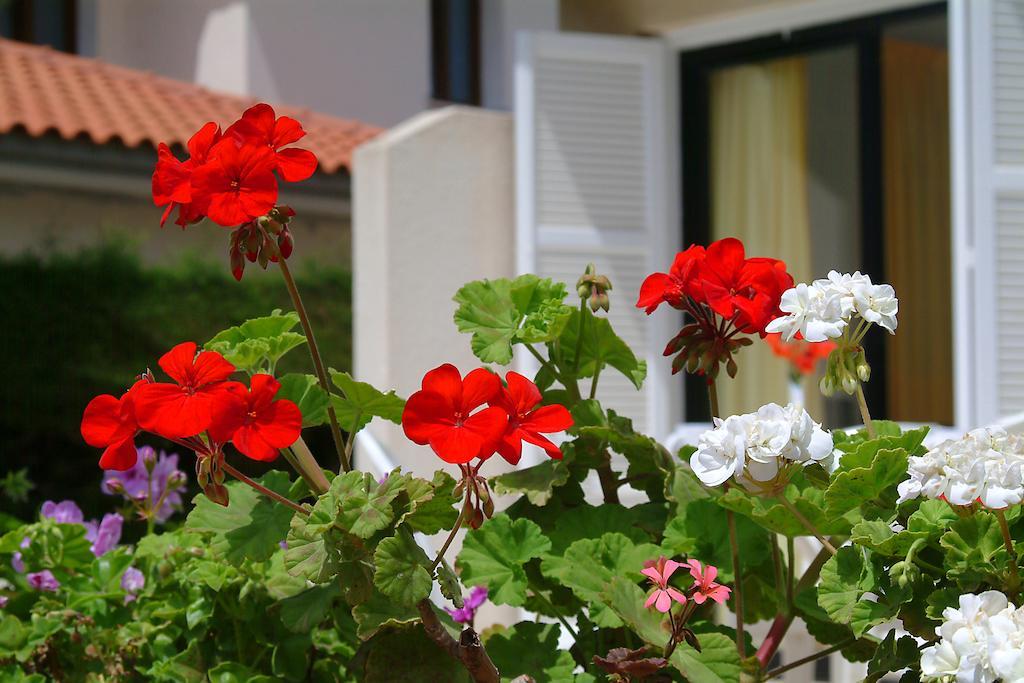 Sunbay Apartments Pyla Dış mekan fotoğraf